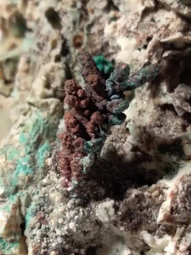 Copper, Malachite<br />Roccatederighi, Roccastrada, Provincia Grosseto, Toscana, Italia<br />72,3 x 54,5 mm<br /> (Author: Sante Celiberti)