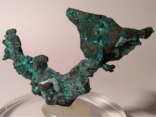 Copper, Malachite<br />Campiglia Marittima, Campigliese, Provincia Livorno, Toscana, Italia<br />75 x 47 mm<br /> (Author: Sante Celiberti)