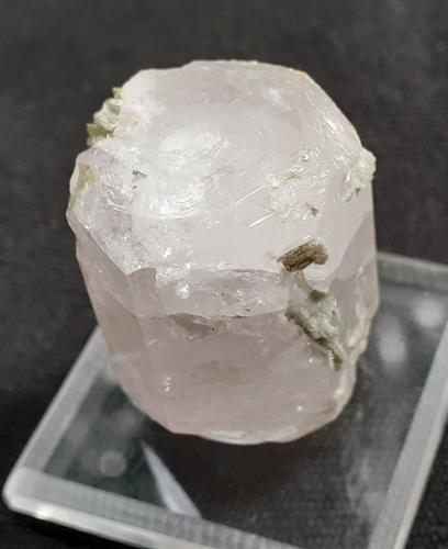 Beryl (variety morganite)<br />Mina Elizabeth R., Montaña Chief, Pala, Distrito Pala, Condado San Diego, California, USA<br />2,7 x 2 cm<br /> (Author: Volkmar Stingl)