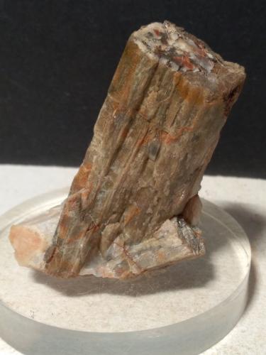 Scapolite<br />Campiglia Marittima, Campigliese, Provincia Livorno, Toscana, Italia<br />55 x 43 mm<br /> (Author: Sante Celiberti)