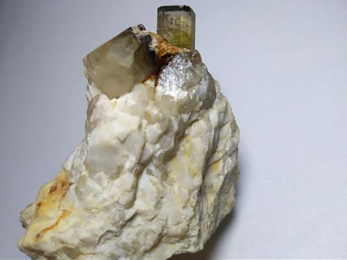 Elbaite, Quartz, Muscovite<br />Fonte del Prete, San Piero in Campo, Campo nell'Elba, Isla de Elba, Provincia Livorno, Toscana, Italia<br />43 x 43 mm<br /> (Author: Sante Celiberti)