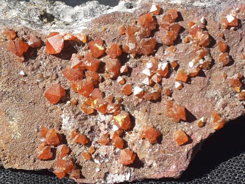 Wulfenite<br />Mina Melissa, Distrito Silver, Condado La Paz, Arizona, USA<br />4 x 2 cm<br /> (Author: Volkmar Stingl)