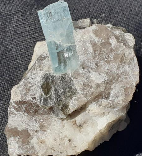 Beryl (variety aquamarine)<br />Valle Albigna, Vicosprano, Valle Bergell (Val Bregaglia; Val Bargaja), Grisones (Grischun; Graubünden), Suiza<br />2,5 x 2 cm<br /> (Author: Volkmar Stingl)