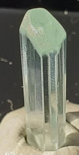 Beryl (variety aquamarine)<br />Distrito Gilgit, Gilgit-Baltistan (Áreas del Norte), Paquistán<br />3 x 0,5 cm<br /> (Author: Volkmar Stingl)