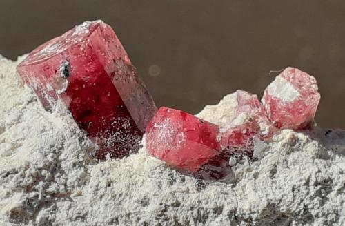 Beryl (variety Red Beryl)<br />Montes Wah Wah, Beaver County, Utah, USA<br />3,5 x 3 cm<br /> (Author: Volkmar Stingl)