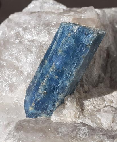 Beryl (variety Aquamarine)<br />Bahia, Región Nordeste, Brasil<br />4 cm long crystal<br /> (Author: Volkmar Stingl)