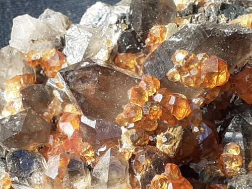 Quartz (variety smoky quartz), Spessartine<br />Tongbei, Yunxiao, Prefectura Zhangzhou, Provincia Fujian, China<br />6,5 x 4 cm<br /> (Author: Volkmar Stingl)