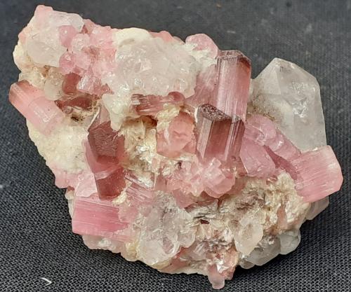 Tourmaline (variety rubellite), Quartz<br />Montes Gaoligong, Valle Nujiang, Prefectura autónoma Nujiang, Provincia Yunnan, China<br />4,5 x 3 cm<br /> (Author: Volkmar Stingl)