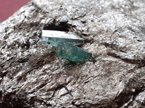 Beryl (variety Emerald)<br />Sedl, Valle Habach, Hohe Tauern, Salzburgo/Salzburg, Austria<br />6 x 4 cm<br /> (Author: Volkmar Stingl)