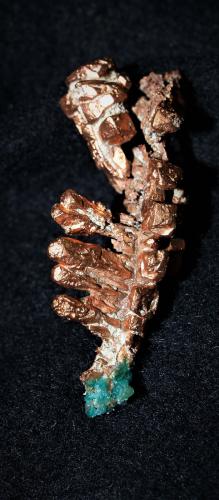 Copper<br />Condado Keweenaw, Michigan, USA<br />3x1.5x1.2 cm''s<br /> (Author: Joseph DOliveira)