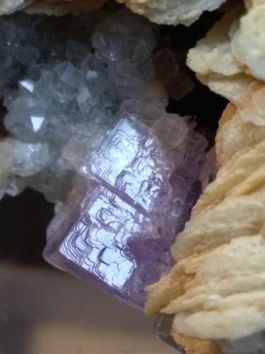 Fluorite, Baryte, Quartz<br />Mina Muscadroxius-Genna Tres Montis, Silius, Provincia Sud Sardegna, Cerdeña/Sardegna, Italia<br />116 x 50 mm<br /> (Author: Sante Celiberti)