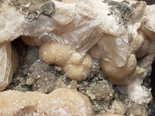 Calcite<br />Wildon (Weitendorf), Distrito Leibnitz, Estiria/Steiermark, Austria<br />11 x 5 cm<br /> (Author: Volkmar Stingl)