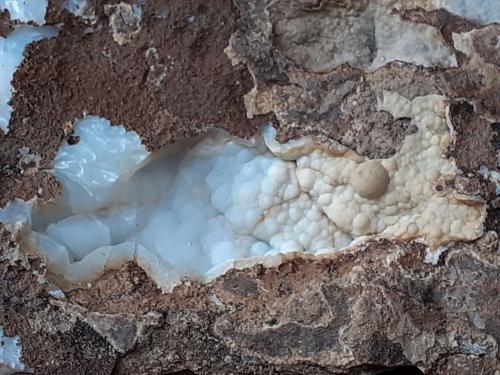 Quartz (variety Chalcedony)<br />Wildon (Weitendorf), Distrito Leibnitz, Estiria/Steiermark, Austria<br />FoV 6 x 4 cm<br /> (Author: Volkmar Stingl)