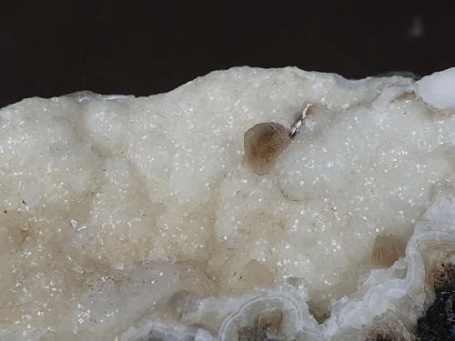 Calcite, Quartz<br />Wildon (Weitendorf), Distrito Leibnitz, Estiria/Steiermark, Austria<br />FoV 7 x 5 cm<br /> (Author: Volkmar Stingl)