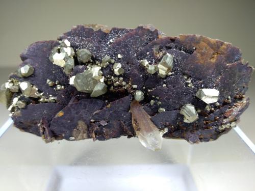 Siderite, Pyrite, Quartz<br />Saint-Pierre-de-Mésage, Vizille, Grenoble, Isère, Auvergne-Rhône-Alpes, Francia<br />64 x 41 mm<br /> (Author: Sante Celiberti)