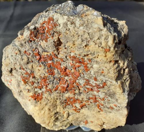 Wulfenite, Galena<br />Mina Maoniuping, Mianning, Prefectura autónoma Liangshan, Provincia Sichuan, China<br />11 x 10 cm<br /> (Author: Volkmar Stingl)