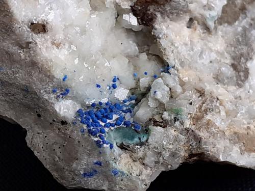 Azurite, Dolomite<br />Distrito minero Ringenwechsel, Troi, Distrito Schwaz, Valle Inn, Tirol Norte, Tirol, Austria<br />FoV ca. 1 x 1,5 cm<br /> (Author: Volkmar Stingl)