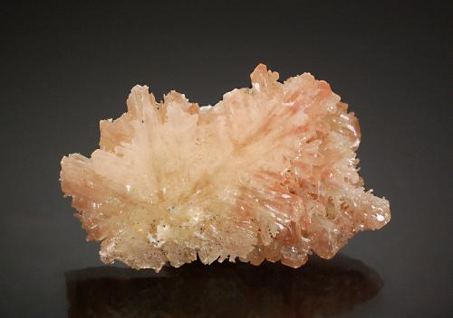 Cerussite<br />Mina Daoping, Gongcheng, Prefectura Guilin, Región Autónoma Guangxi Zhuang, China<br />4.5 x 2.5 x 1.0 cm<br /> (Author: Michael Shaw)