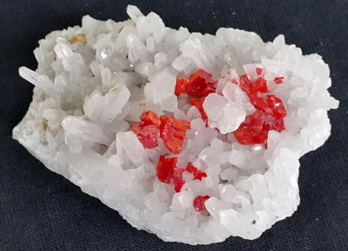 Realgar, Quartz<br />Mina Palomo, Provincia Castrovirreyna, Departamento Huancavelica, Perú<br />6 x 4 cm<br /> (Author: Volkmar Stingl)