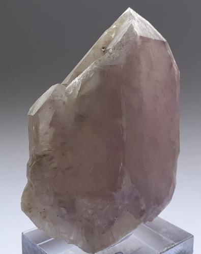 Quartz (variety amethyst)<br />Floitengrund, Valle Ziller (Zillertal), Tirol Norte, Tirol, Austria<br />5,5 x 4,5 x 2,5 cm<br /> (Author: Volkmar Stingl)