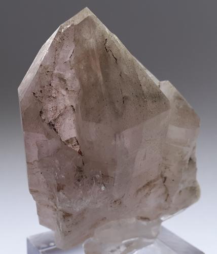 Quartz (variety amethyst)<br />Floitengrund, Valle Ziller (Zillertal), Tirol Norte, Tirol, Austria<br />5,5 x 4,5 x 2,5 cm<br /> (Author: Volkmar Stingl)