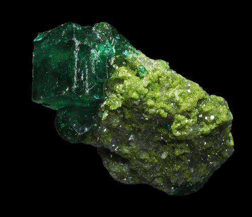 Dioptase<br />Mina Tsumeb, Tsumeb, Región Otjikoto, Namibia<br />10 x 5 x 5 mm<br /> (Author: Rob Schnerr)