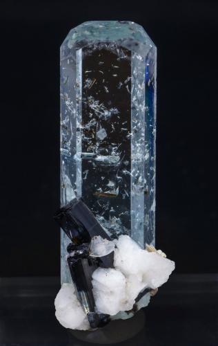 Beryl (variety aquamarine) with Albite, Schorl and Muscovite<br />Gilgit-Baltistan (Áreas del Norte), Paquistán<br />Specimen size: 4.2 × 1.4 × 1.3 cm / main crystal size: 4.2 × 1.4 cm<br /> (Author: Jordi Fabre)