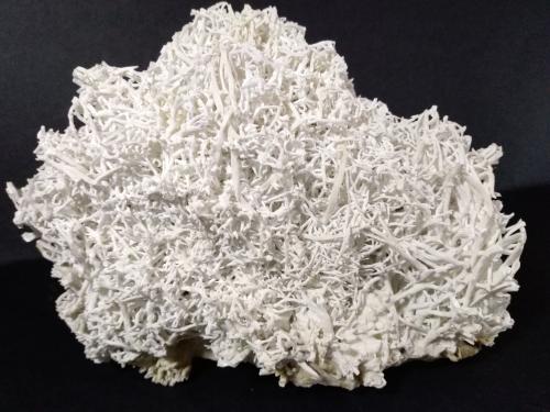 Aragonite (variety flos ferri)<br />Erzberg, Eisenerz (Steiermark), Distrito Leoben, Estiria/Steiermark, Austria<br />16,5 x 14 cm<br /> (Author: Sante Celiberti)