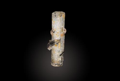 Beryl (variety aquamarine) and Schorl<br />Monte Erongo, Usakos, Región Erongo, Namibia<br />14mm x 32mm x 9mm<br /> (Author: Firmo Espinar)