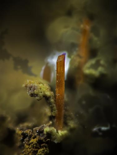 Crocoite<br />Mina Adelaide, Campo minero Dundas, Distrito Zeehan, Consejo Costa Oeste, Tasmania, Australia<br />VOF appr. 10 mm<br /> (Author: Rob Schnerr)