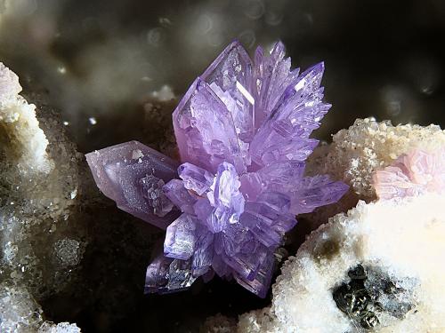 Strengite<br />Mina La Paloma, Zarza la Mayor, Mancomunidad Rivera de Fresnedosa, Cáceres, Extremadura, España<br />FOV 3 mm<br /> (Author: Rewitzer Christian)