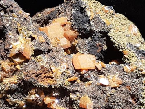 Wulfenite, Mimetite<br />Minas Plaka, Plaka, Distrito minero Lavrion, Prefectura Attikí (Attica), Grecia<br />9 x 7 cm<br /> (Author: Volkmar Stingl)