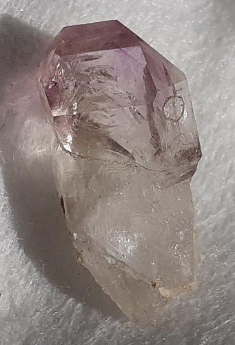 Quartz (variety amethyst)<br />Saurüssel, Zona Mörchner, Zemmgrund, Valle Ziller (Zillertal), Tirol Norte, Tirol, Austria<br />2 x 0,8 cm<br /> (Author: Volkmar Stingl)