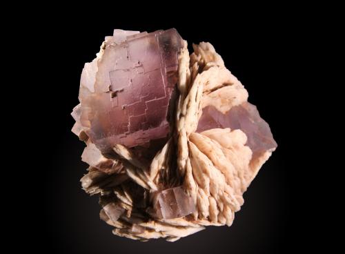 Fluorite<br />Zona minera de Berbes, Berbes, Ribadesella, Comarca Oriente, Principado de Asturias (Asturias), España<br />92mm x 82mm x 67mm. Main crystal is 45 mm on edge.<br /> (Author: Firmo Espinar)