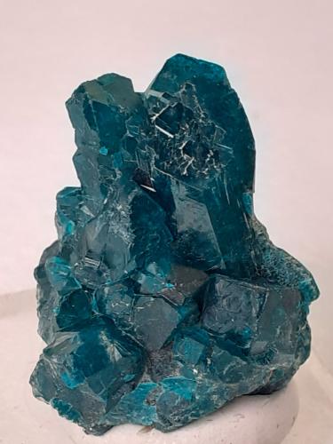 Dioptase<br />Mina Tsumeb, Tsumeb, Región Otjikoto, Namibia<br />2,5 x 2 cm<br /> (Author: Volkmar Stingl)