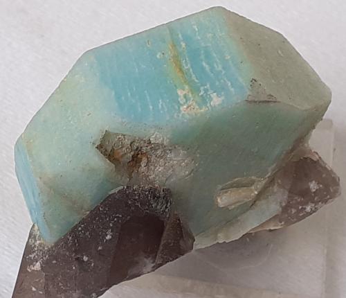 Microcline (variety amazonite), Quartz (variety smoky)<br />Lago George, Condado Park, Colorado, USA<br />4 x 4 cm<br /> (Author: Volkmar Stingl)