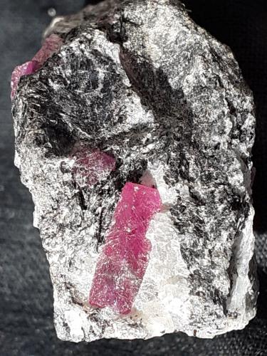 Corundum (variety ruby)<br />Distrito Mysore, Karnataka, India<br />3,5 x 2,5 cm<br /> (Author: Volkmar Stingl)