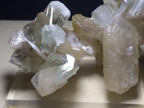 Fluorapophyllite-(K), Stilbite-Ca, Scolecite<br />Distrito Nashik (Nasik), Maharashtra, India<br />12 x 8 cm<br /> (Author: Sante Celiberti)