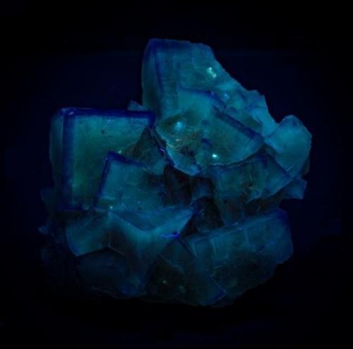 Fluorite<br />Rosiclare, Sub-Distrito Rosiclare , Condado Hardin, Illinois, USA<br />52mm x 50mm x 25mm<br /> (Author: Firmo Espinar)