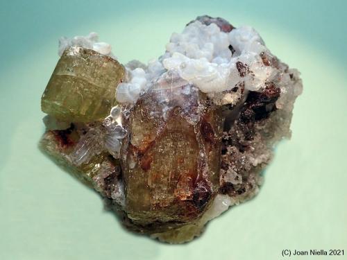 Fluorapatito<br />Mina Cerro de Mercado, Cerro de los Remedios, Victoria de Durango, Municipio Durango, Durango, México<br />65x55 mm<br /> (Autor: Joan Niella)