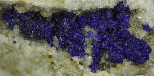 Azurite<br />Neubulach, Calw, Distrito Calw, Región Karlsruhe, Baden-Württemberg, Alemania<br />VOF 23 mm (whole piece 45 x 45 x 40 mm)<br /> (Author: Rob Schnerr)