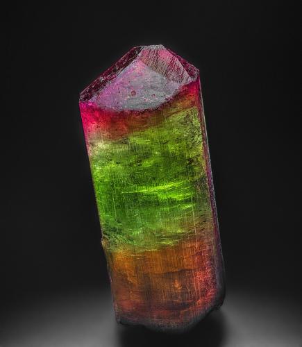 Elbaite<br />Concesión Terra Corrida (Concesión Baixão), Coronel Murta, Jequitinhonha, Minas Gerais, Brasil<br />8.3 x 3.3 cm<br /> (Author: am mizunaka)