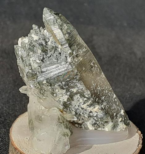 Quartz, Actinolite, Tremolite<br />Saurüssel, Zona Mörchner, Zemmgrund, Valle Ziller (Zillertal), Tirol Norte, Tirol, Austria<br />4 x 2 cm<br /> (Author: Volkmar Stingl)