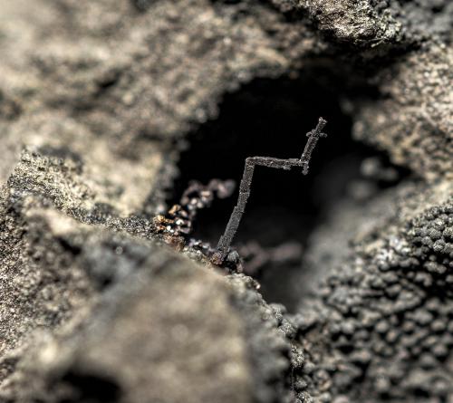 Copper, Clinochlore<br />Cantera Beaver Valley, Shine, Condado Jefferson, Washington, USA<br />3.1 x 2.2 cm<br /> (Author: am mizunaka)