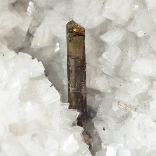 Dissakisite-(Ce)/Allanite-(Ce) with Dolomite<br />Mina Trimouns, Luzenac, Haute-Ariège, Foix, Departamento Ariège, Occitanie, Francia<br />Crystal size: 0.9 × 0.1 cm<br /> (Author: Jordi Fabre)