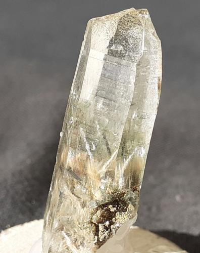 Quartz, Actinolite, Tremolite<br />Saurüssel, Zona Mörchner, Zemmgrund, Valle Ziller (Zillertal), Tirol Norte, Tirol, Austria<br />3 x 1 cm<br /> (Author: Volkmar Stingl)