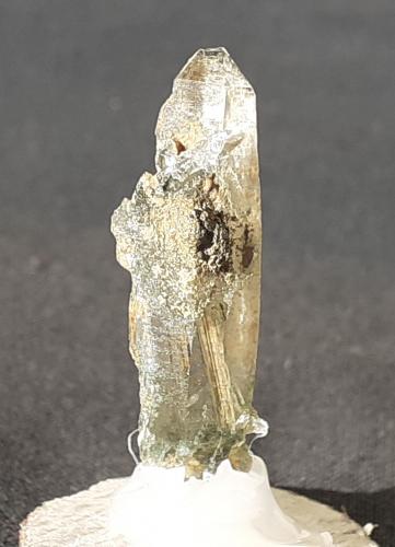 Quartz, Actinolite, Tremolite<br />Saurüssel, Zona Mörchner, Zemmgrund, Valle Ziller (Zillertal), Tirol Norte, Tirol, Austria<br />3,5 x 1 cm<br /> (Author: Volkmar Stingl)