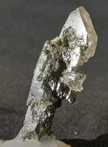 Quartz, Actinolite<br />Saurüssel, Zona Mörchner, Zemmgrund, Valle Ziller (Zillertal), Tirol Norte, Tirol, Austria<br />3,5 x 1,5 cm<br /> (Author: Volkmar Stingl)