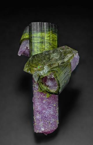 Elbaite, Lepidolite, Quartz<br />Concesión Pederneira, São José da Safira, Governador Valadares, Vale do Rio Doce, Minas Gerais, Brasil<br />6.5 x 4.2 cm<br /> (Author: am mizunaka)