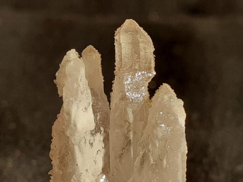 Quartz, Natrolite<br />Cantera Capurru, Osilo, Provincia Sassari, Cerdeña/Sardegna, Italia<br />2 x 1,3 cm<br /> (Author: Volkmar Stingl)